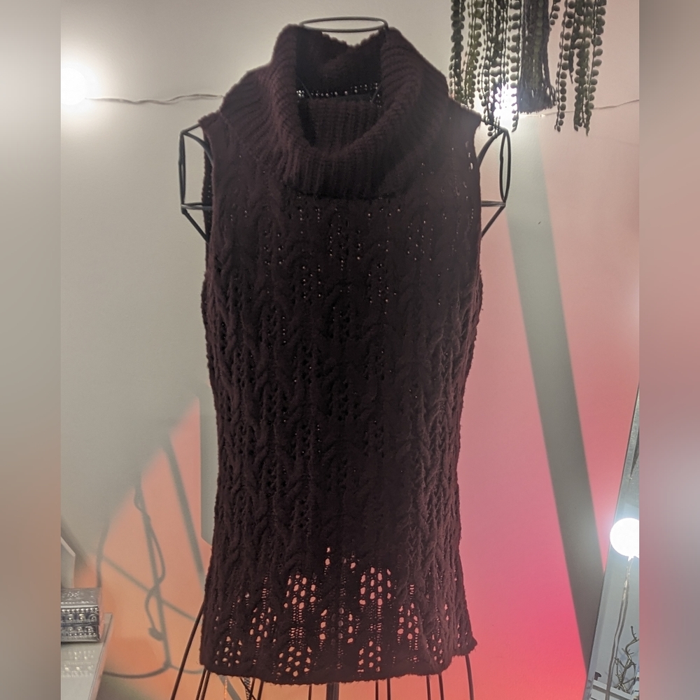 Joseph A plum knit sweater